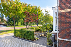 Waterhoen43907HBVeenendaal-09 bewerkt.png